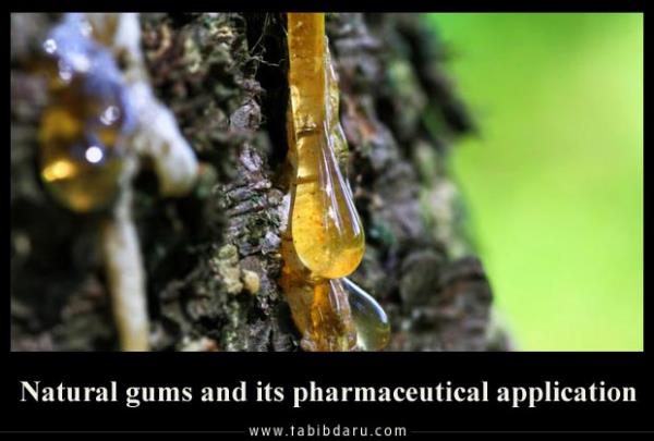 Natural Gums and it's pharmaceutical application